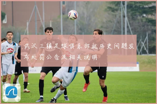 武汉三镇足球俱乐部就历史问题发布处罚公告及相关说明