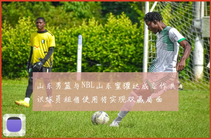 山东男篮与NBL山东蜜獾达成合作共识球员租借使用将实现双赢局面